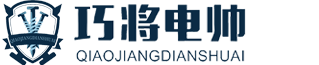 江西视显高