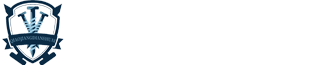 江西视显高